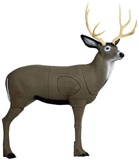 best 3d deer target for archery.